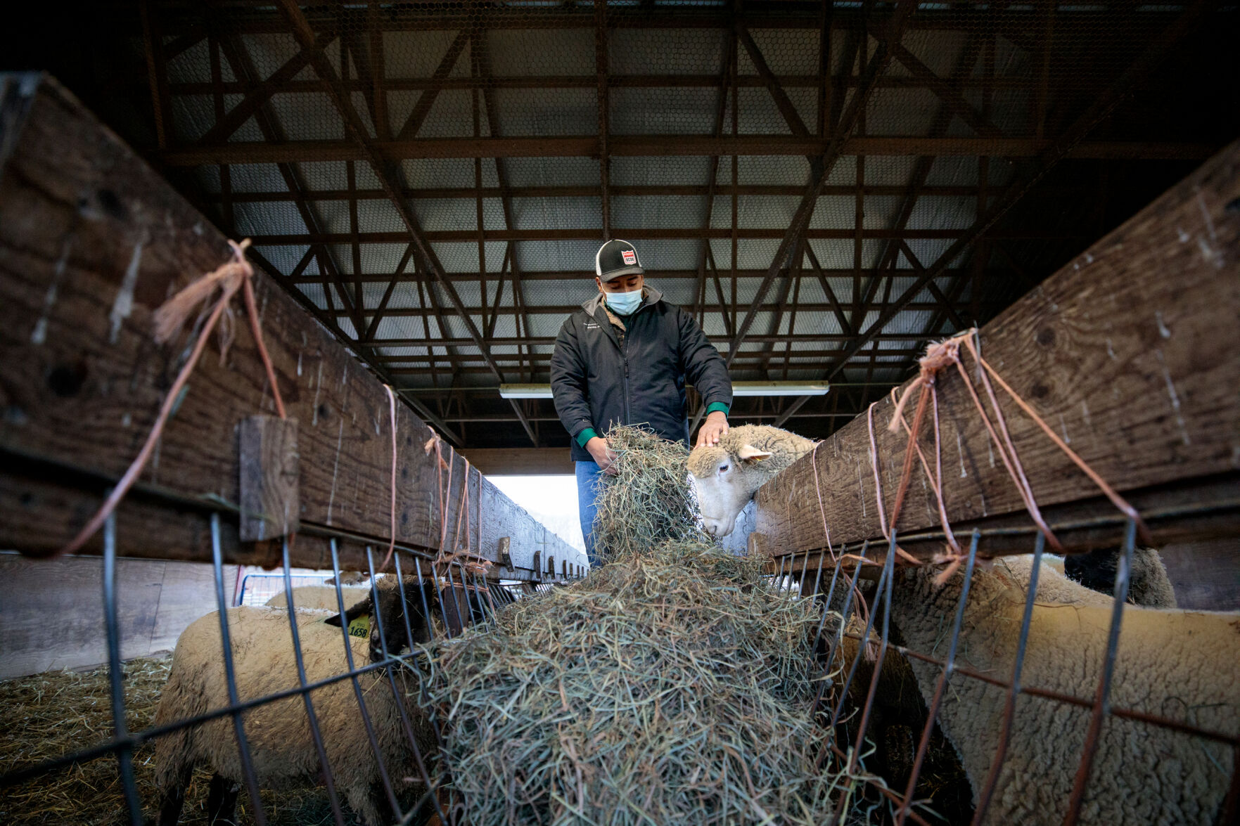 18324 Agriculture Farm Show